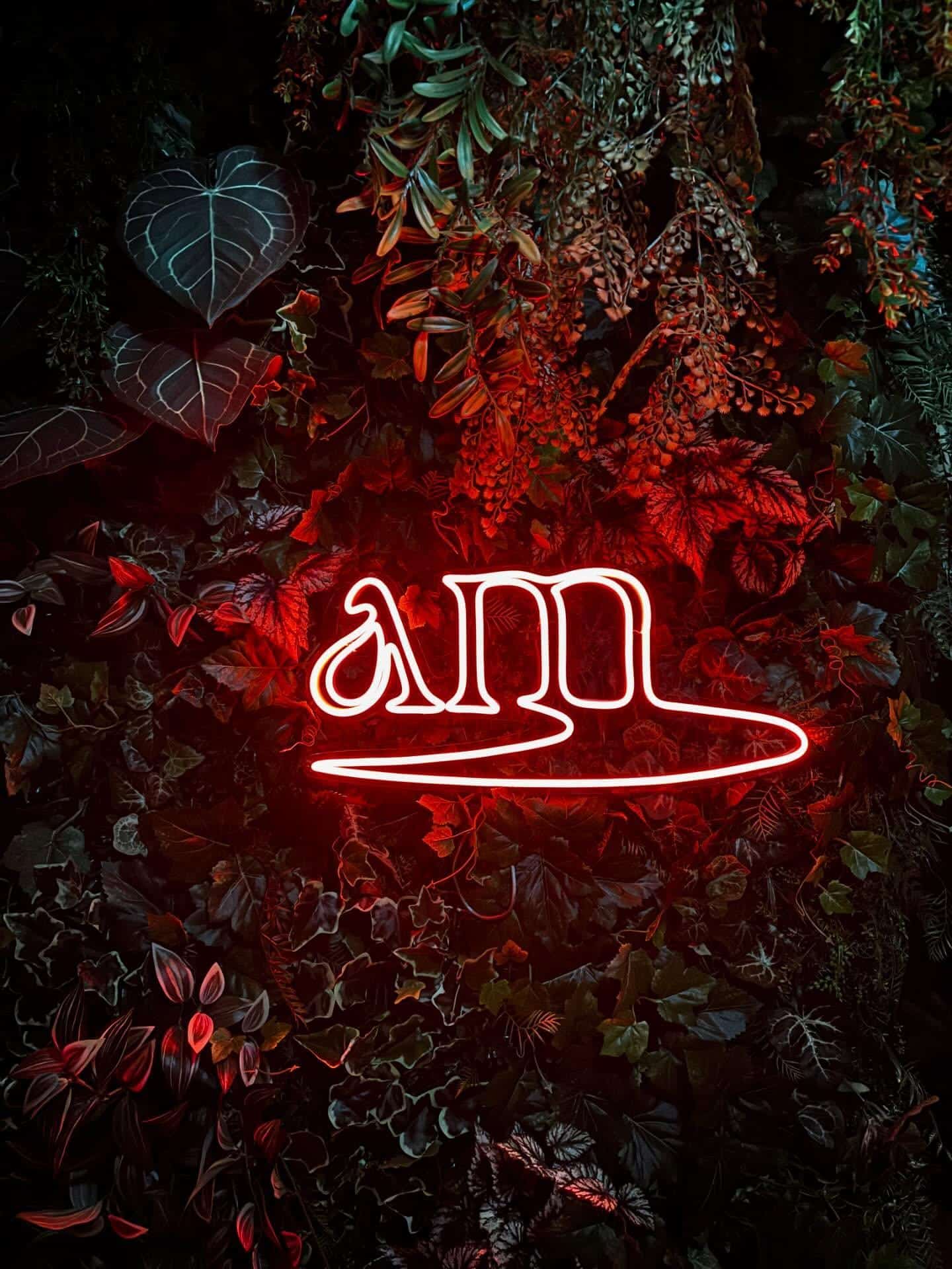 【新宿　シーシャ　バー】amで朝までチルできる 深夜営業のおすすめ