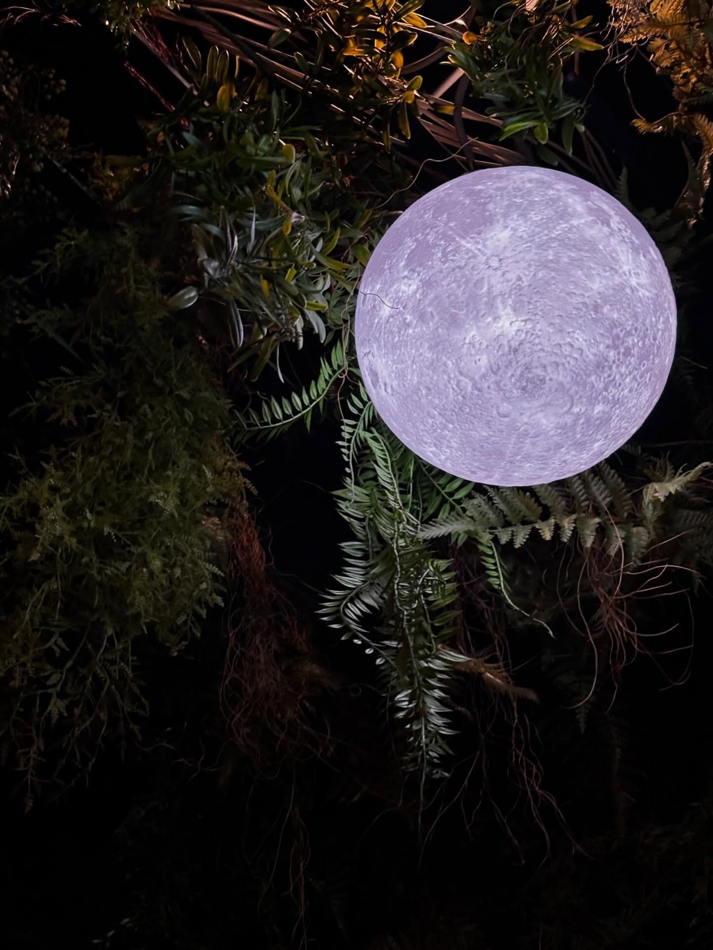 【新宿　シーシャ　バー】おすすめ水タバコ