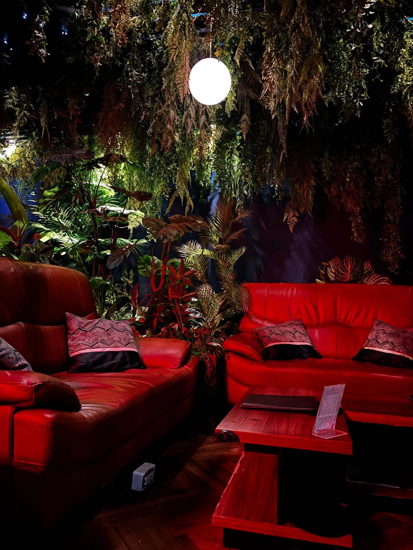 【新宿　シーシャ　バー】電子タバコ・紙タバコが吸える店