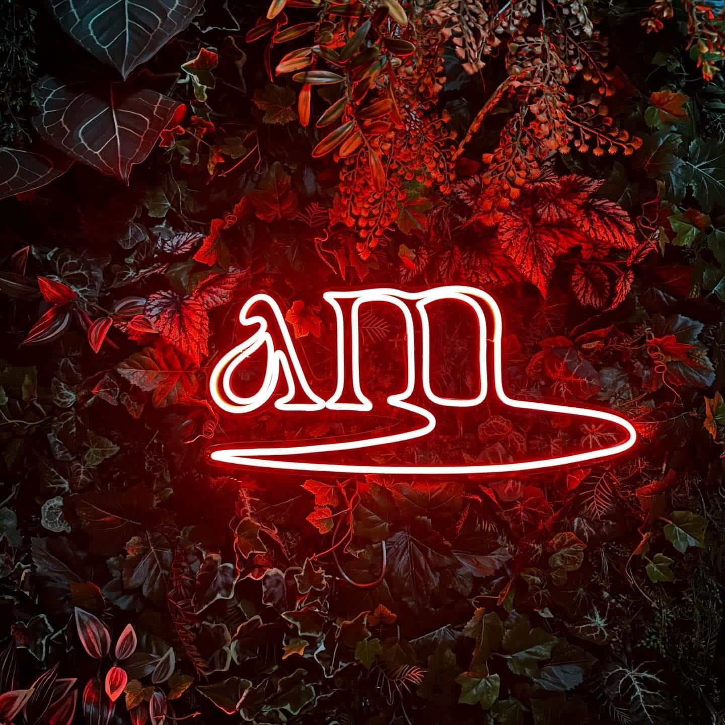 【新宿　シーシャ　バー】新宿、歌舞伎町でシーシャを楽しむならここ！