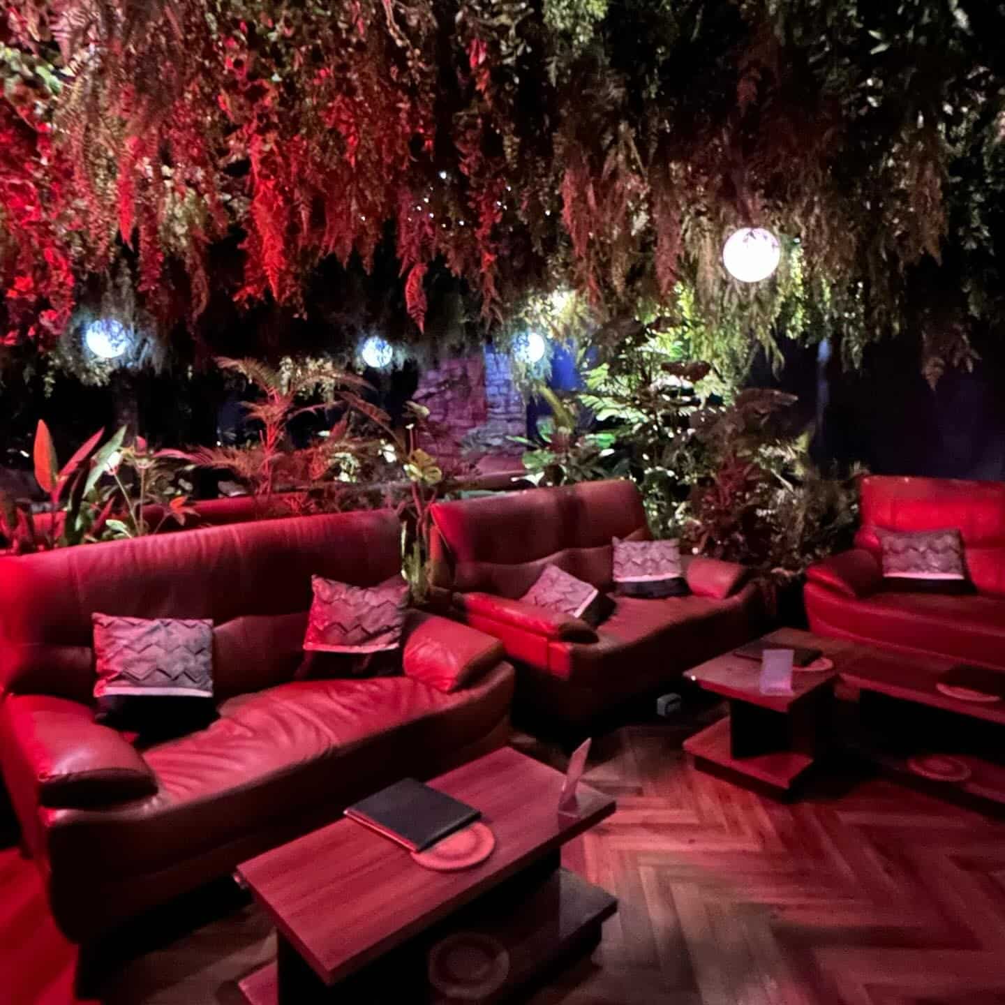 【新宿 シーシャ バー】デートにもぴったり amの雰囲気