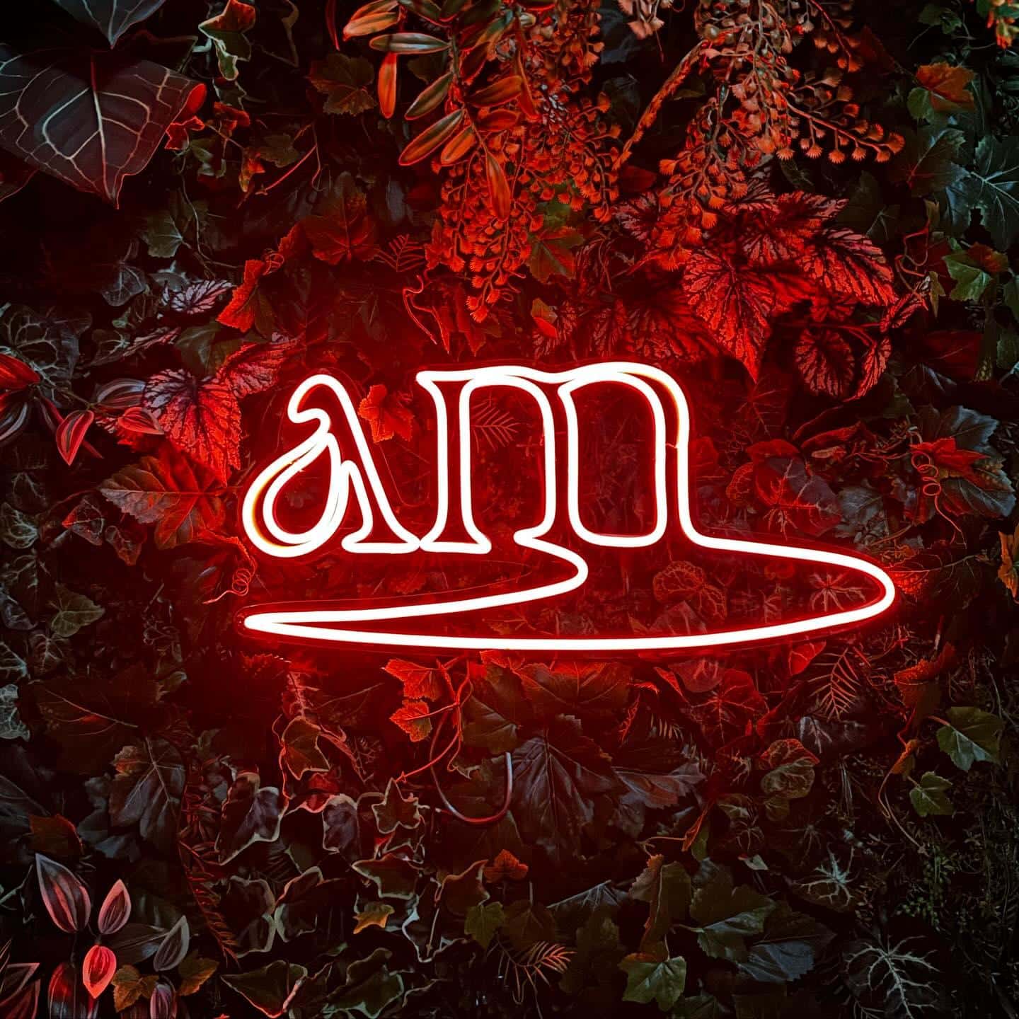 【新宿　シーシャ　バー】昼から楽しむインスタ映えシーシャカフェ