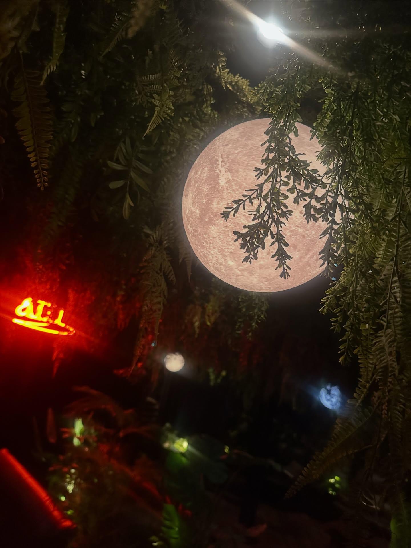 【新宿　シーシャ バー】